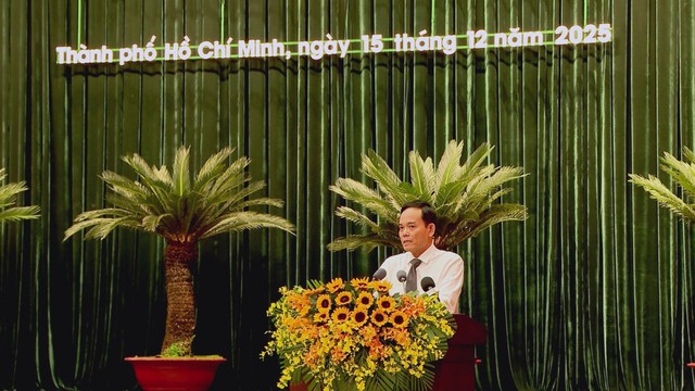 Nghị quyết 260: Cơ chế đột phá mới tạo động lực phát triển TP. Hồ Chí Minh - Ảnh 1.