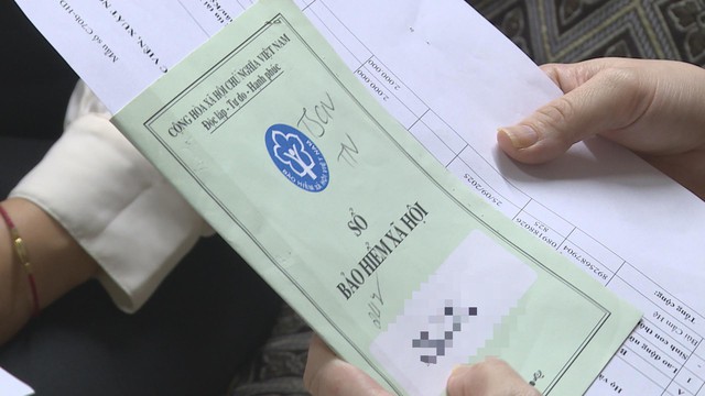 Lao động tự do được hưởng trợ cấp thai sản khi tham gia BHXH tự nguyện - Ảnh 1.