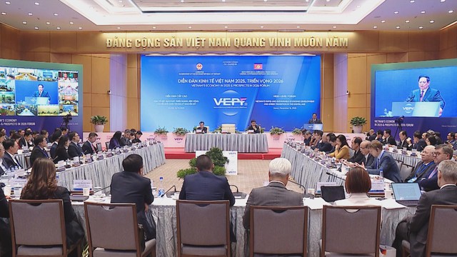Diễn đàn Kinh tế Việt Nam 2025: Triển vọng 2026 và chiến lược tăng trưởng bền vững - Ảnh 5.