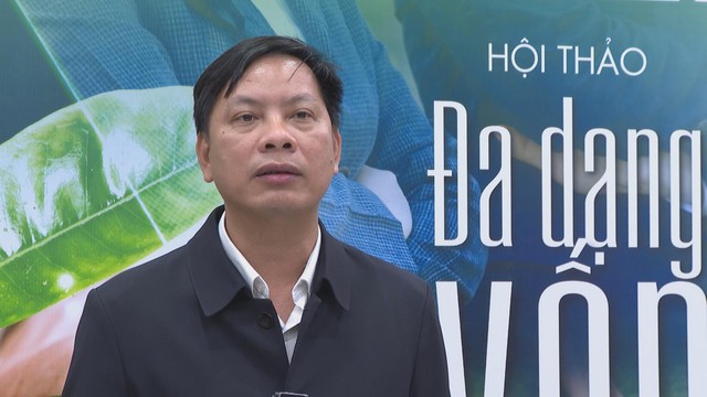 Huy động 700 tỷ USD cho kinh tế xanh: Bài toán đa dạng hóa nguồn lực bền vững - Ảnh 3.