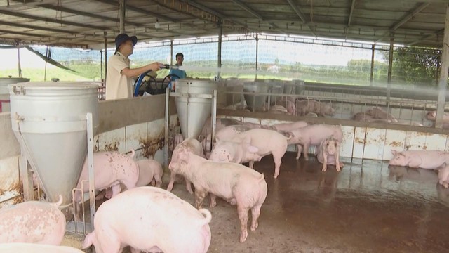 Thời sự HTV ngày 20/12/2025 | Hấp dẫn các hoạt động trải nghiệm tại Phiên chợ nông sản vùng miền - Bình Đông lần I - Ảnh 3.