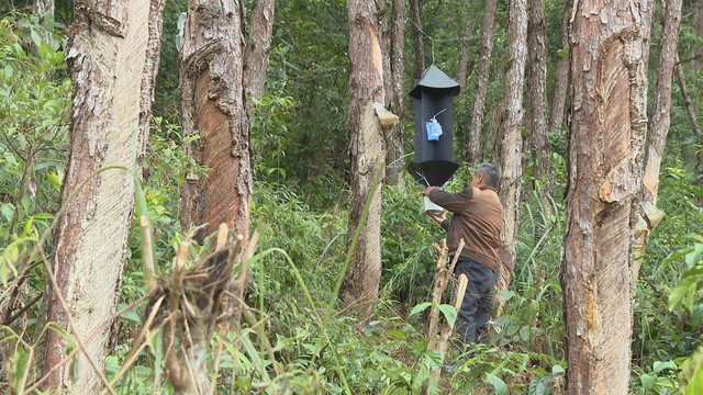 Thời sự HTV ngày 20/12/2025 | Hấp dẫn các hoạt động trải nghiệm tại Phiên chợ nông sản vùng miền - Bình Đông lần I - Ảnh 4.
