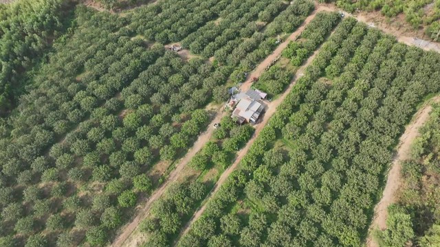 “Bộ đội Cụ Hồ” làm kinh tế, dựng xây cuộc sống mới trên quê hương- Ảnh 1.