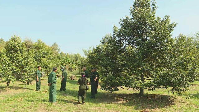 “Bộ đội Cụ Hồ” làm kinh tế, dựng xây cuộc sống mới trên quê hương- Ảnh 5.