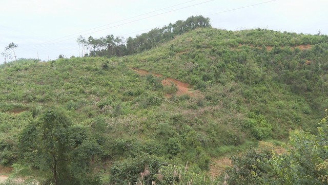 Ngăn sinh vật ngoại lai, bảo vệ an toàn sinh học- Ảnh 1.