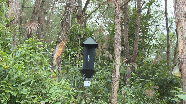 Ngăn sinh vật ngoại lai, bảo vệ an toàn sinh học- Ảnh 2.