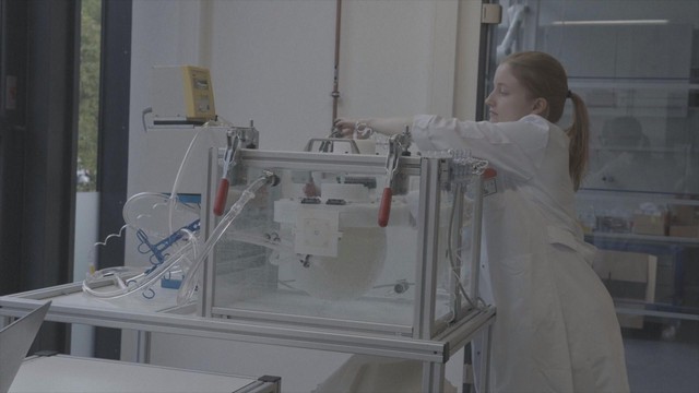 Hà Lan: Phát triển tử cung nhân tạo - Ảnh 3.