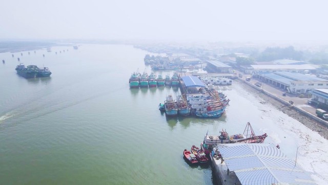 TP. Hồ Chí Minh tháo gỡ vướng mắc để tàu cá đủ điều kiện hoạt động - Ảnh 2.