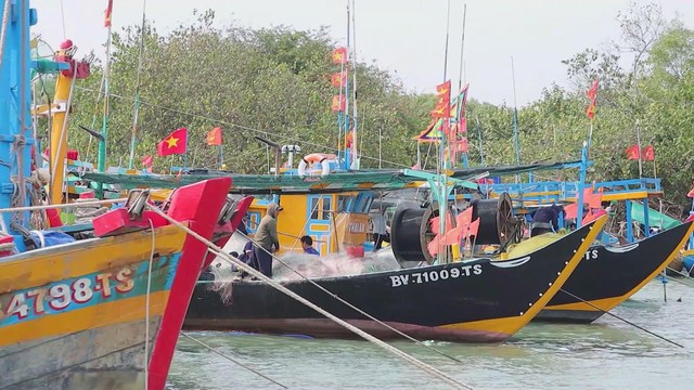 TP. Hồ Chí Minh tháo gỡ vướng mắc để tàu cá đủ điều kiện hoạt động - Ảnh 1.
