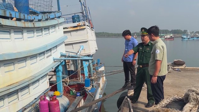 TP. Hồ Chí Minh tháo gỡ vướng mắc để tàu cá đủ điều kiện hoạt động - Ảnh 4.