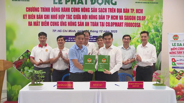 TP. Hồ Chí Minh đẩy mạnh đưa nông sản sạch đến tay người tiêu dùng - Ảnh 7.