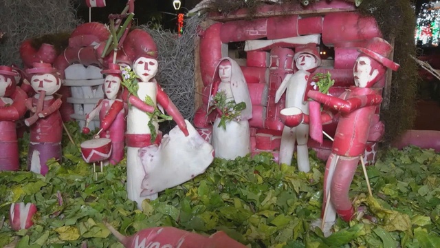 Lễ hội Đêm Củ Cải tại Oaxaca, Mexico- Ảnh 1.