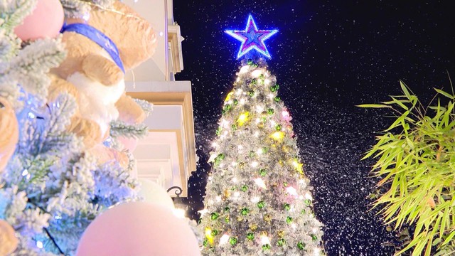 TP. Hồ Chí Minh rực sáng trong đêm Giáng sinh an lành- Ảnh 4.