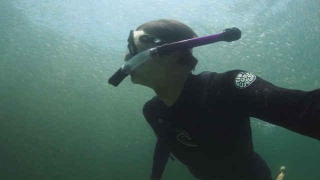 Cảnh tượng hiếm có: Hàng triệu con cá cơm vây kín biển Copacabana- Ảnh 1. Cảnh tượng hiếm có: Hàng triệu con cá cơm vây kín biển Copacabana- Ảnh 1.