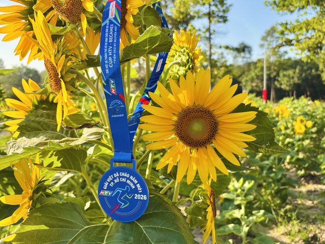 3 bước đơn giản để tìm hình ảnh tại giải chạy cúp HTV – BECAMEX “Tiến vào kỷ nguyên mới”- Ảnh 10.