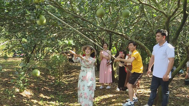 Du lịch miệt vườn - Trải nghiệm xanh giữa vùng nông nghiệp - Ảnh 5.