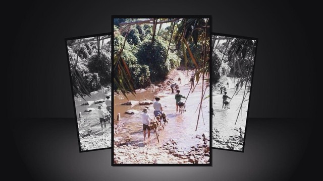 39 năm du khảo để vẽ nên “Bản đồ Việt Nam 2026: Hương rừng - gió biển” - Ảnh 2.