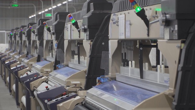 Hai điểm nghẽn lớn của ngành dệt may: Tài chính và tư duy người lãnh đạo - Ảnh 6.