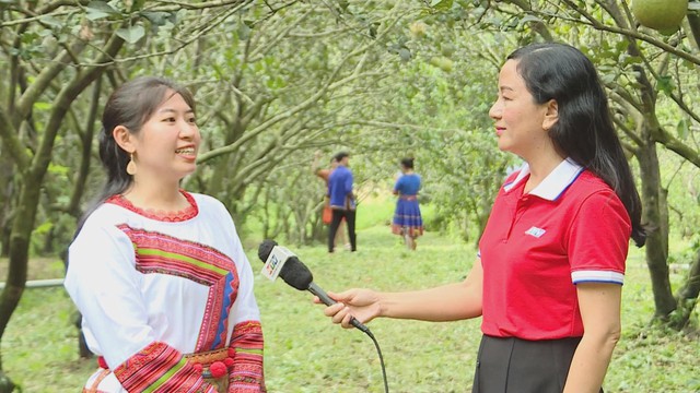 Du lịch miệt vườn - Trải nghiệm xanh giữa vùng nông nghiệp - Ảnh 4.