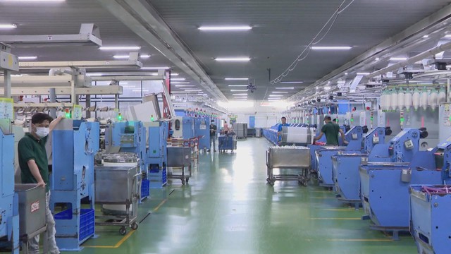 TP.HCM áp dụng mức lương tối thiểu vùng mới từ 1/1/2026 - Ảnh 1.