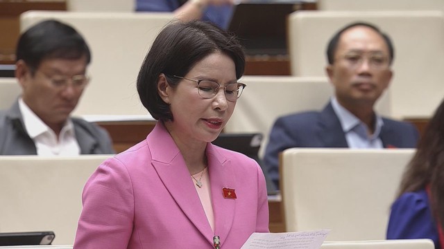 Đại biểu kiến nghị nâng phụ cấp ngành y - Ảnh 3.