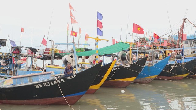 Xã Long Hải rà soát tàu cá không đủ điều kiện đánh bắt - Ảnh 2.