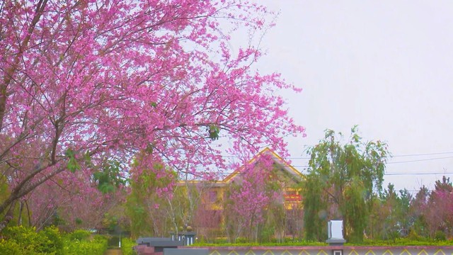 60 Giây ngày 30/12/2025 | Bước đột phá: Một đầu mối cho mọi thủ tục hành chính tại TP. Hồ Chí Minh - Ảnh 3.