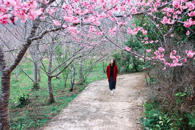 Điện Biên: 3 điểm check-in cực "hot" dịp năm mới - Ảnh 8.