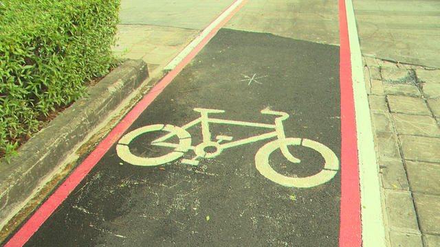 TP. Hồ Chí Minh khánh thành làn đường riêng cho xe đạp đầu tiên trên đường Mai Chí Thọ - Ảnh 5.