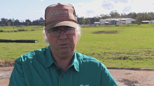 Australia áp dụng công nghệ vắt sữa bò tiên tiến - Ảnh 5.