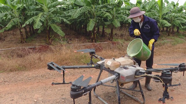 Vươn khơi - Ngày 4/12/2025 | Vườn Quốc gia Côn Đảo: Điểm sáng về bảo tồn thiên nhiên- Ảnh 2. Vươn khơi - Ngày 4/12/2025 | Vườn Quốc gia Côn Đảo: Điểm sáng về bảo tồn thiên nhiên- Ảnh 2.