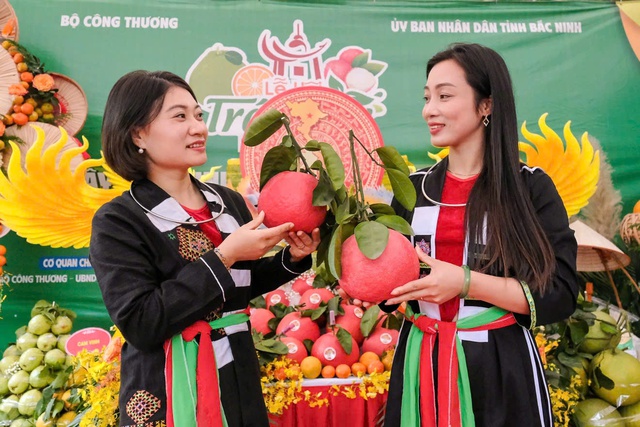 Lễ hội Trái cây Bắc Ninh 2025 khai mạc, đấu giá gây quỹ hỗ trợ miền Trung - Tây Nguyên - Ảnh 3.