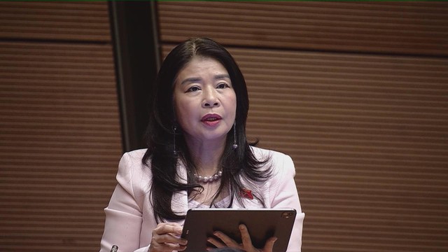 Tán thành chủ trương đặt tòa án chuyên biệt tại TP. Hồ Chí Minh - Ảnh 2.