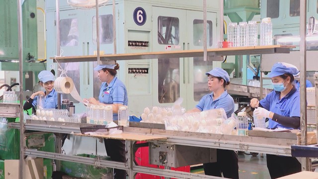 Vươn khơi - Ngày 6/12/2025 | Chỉnh trang đô thị và trang trí Tết Nguyên đán Bính Ngọ 2026 - Ảnh 4.