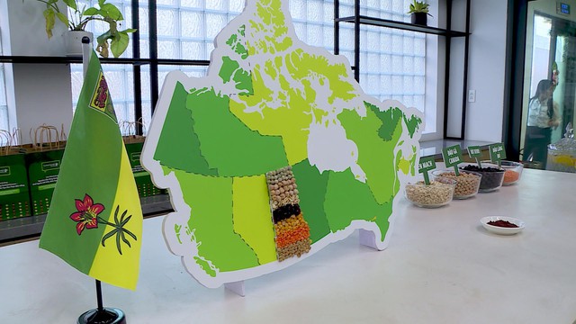 Canada giới thiệu nông sản Saskatchewan, thúc đẩy hợp tác nông nghiệp bền vững với Việt Nam- Ảnh 1. Canada giới thiệu nông sản Saskatchewan, thúc đẩy hợp tác nông nghiệp bền vững với Việt Nam- Ảnh 1.
