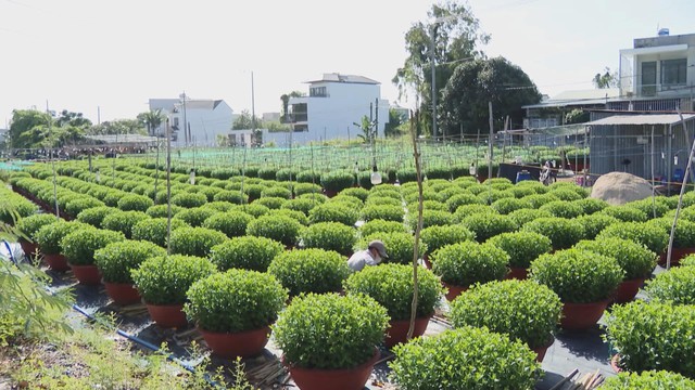 60 Giây ngày 07/12/2025 | Khánh Hòa: Người dân Nha Trang phải chạy lũ 4 lần - Ảnh 3.