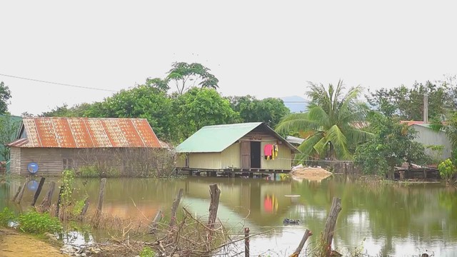 60 Giây ngày 9/12/2025 | TP. Hồ Chí Minh công bố 4 điểm bắn pháo hoa đón năm mới 2026 - Ảnh 2.