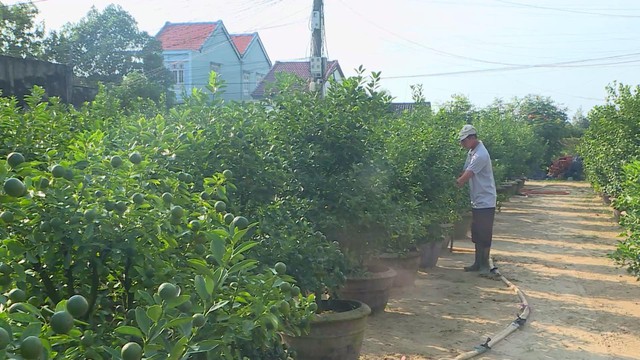 60 Giây ngày 9/12/2025 | TP. Hồ Chí Minh công bố 4 điểm bắn pháo hoa đón năm mới 2026 - Ảnh 3.