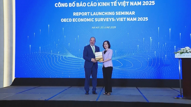 Công bố Báo cáo Kinh tế Việt Nam 2025: Khuyến nghị cải cách để duy trì đà tăng trưởng - Ảnh 1.
