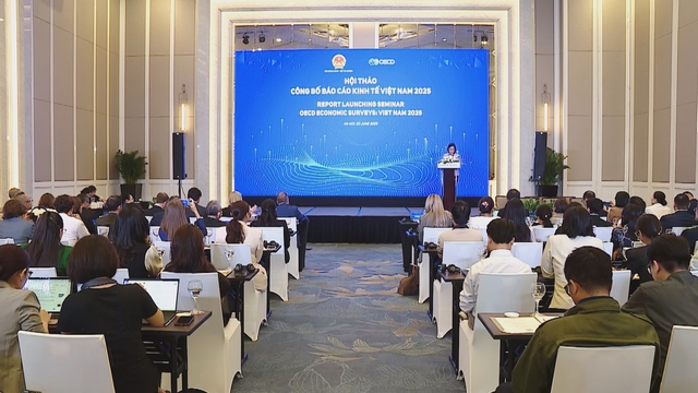 Công bố Báo cáo Kinh tế Việt Nam 2025: Khuyến nghị cải cách để duy trì đà tăng trưởng - Ảnh 4.