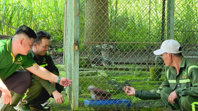 Thảo Cầm Viên Sài Gòn: Hơn một thế kỷ gieo mầm yêu thiên nhiên cho thế hệ trẻ - Ảnh 2.