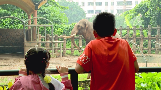 Thảo Cầm Viên Sài Gòn: Hơn một thế kỷ gieo mầm yêu thiên nhiên cho thế hệ trẻ - Ảnh 6.