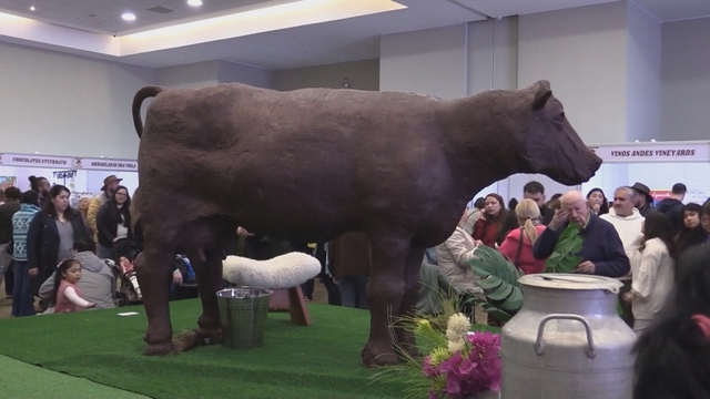 Biến chocolate thành tác phẩm điêu khắc nặng nửa tấn - Ảnh 1.