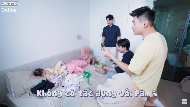 Mèo Kitty, gấu trúc đỏ và kế hoạch bất thành - Ảnh 3.