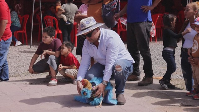Cuộc thi mặc trang phục cho Gà mái ở Honduras - Ảnh 2.