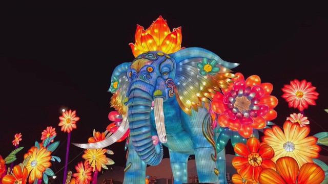 Chương trình chiếu sáng "Vườn đêm Nam Ninh" tại Trung Quốc thu hút khách tham quan- Ảnh 2. Chương trình chiếu sáng "Vườn đêm Nam Ninh" tại Trung Quốc thu hút khách tham quan- Ảnh 2.
