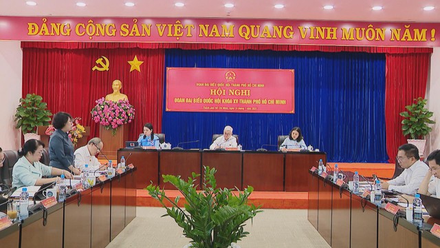 Đoàn Đại biểu Quốc hội TP.HCM triển khai phương hướng hoạt động sau hợp nhất - Ảnh 3.