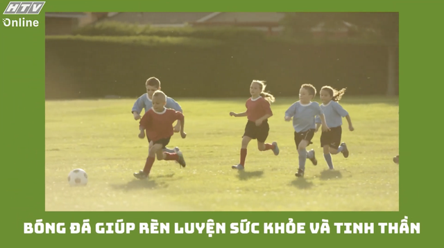 Khám phá thế giới sân cỏ kỳ thú - Ảnh 3.