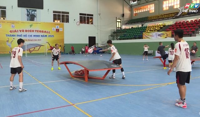 Đội tuyển Teqball Việt Nam tập huấn với chuyên gia quốc tế  - Ảnh 1.
