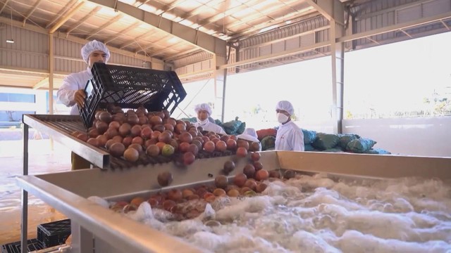 Giải pháp nào giúp trái cây Việt tái định vị thành công? - Ảnh 4.